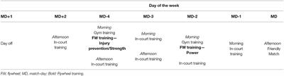 Flywheel Training Periodization in Team Sports